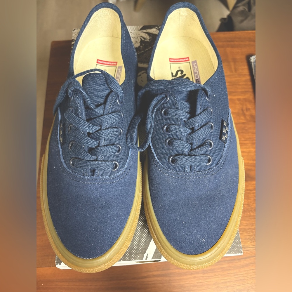 Vans Skate Authentic Shoe